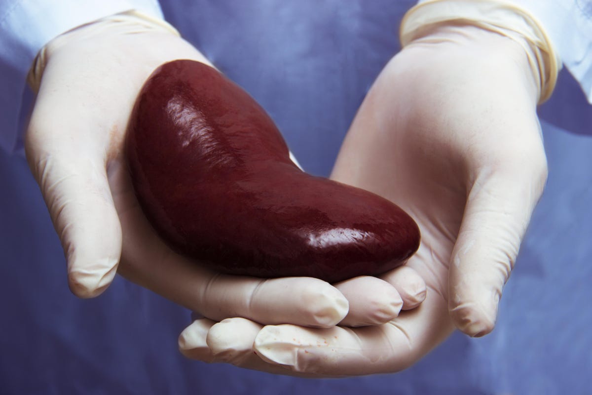 Kidney Transplant Service